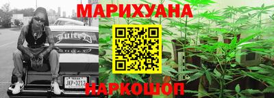 гидропоника Можга