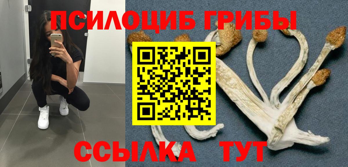 Псилоцибиновые грибы мухоморы Геленджик