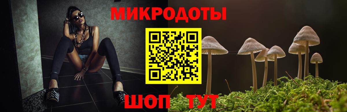 Псилоцибиновые грибы Psilocybe  Вход с VPN  Геленджик 